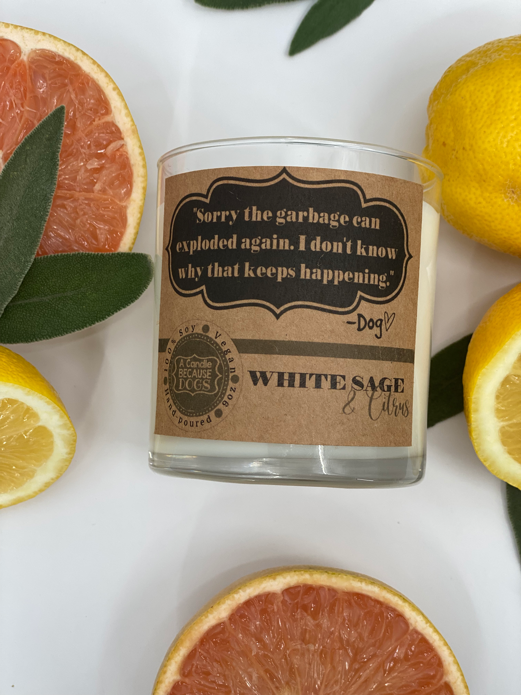 White Sage and Citrus 9oz Soy Candle -- 