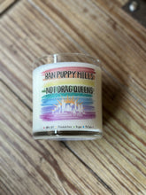 Load image into Gallery viewer, LIMITED TIME Pride Special 9oz Soy Candle - &quot;Ban Puppy Mills Not Drag Queens&quot;
