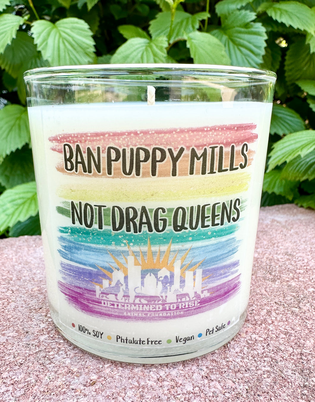 LIMITED TIME Pride Special 9oz Soy Candle - 