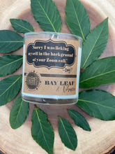 Load image into Gallery viewer, Bay Leaf &amp; Tobacco 9oz Soy Candle -- &quot;Sorry I was licking myself in the background of your Zoom call&quot;
