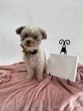 Load image into Gallery viewer, PupCasso Paint Kit - Medium Canvas (6x8)

