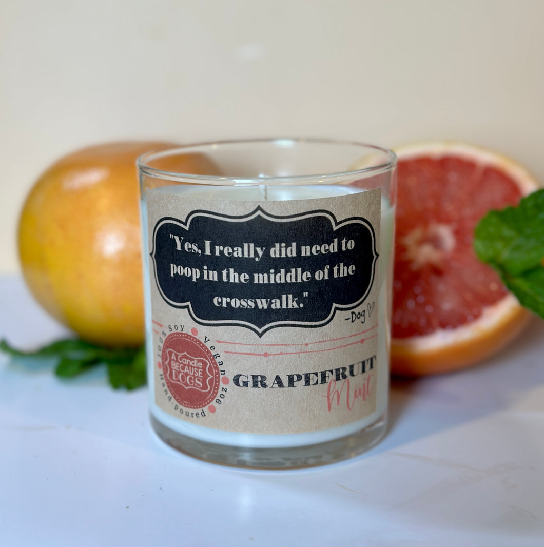 Grapefruit Mint 9oz Soy Candle -- 