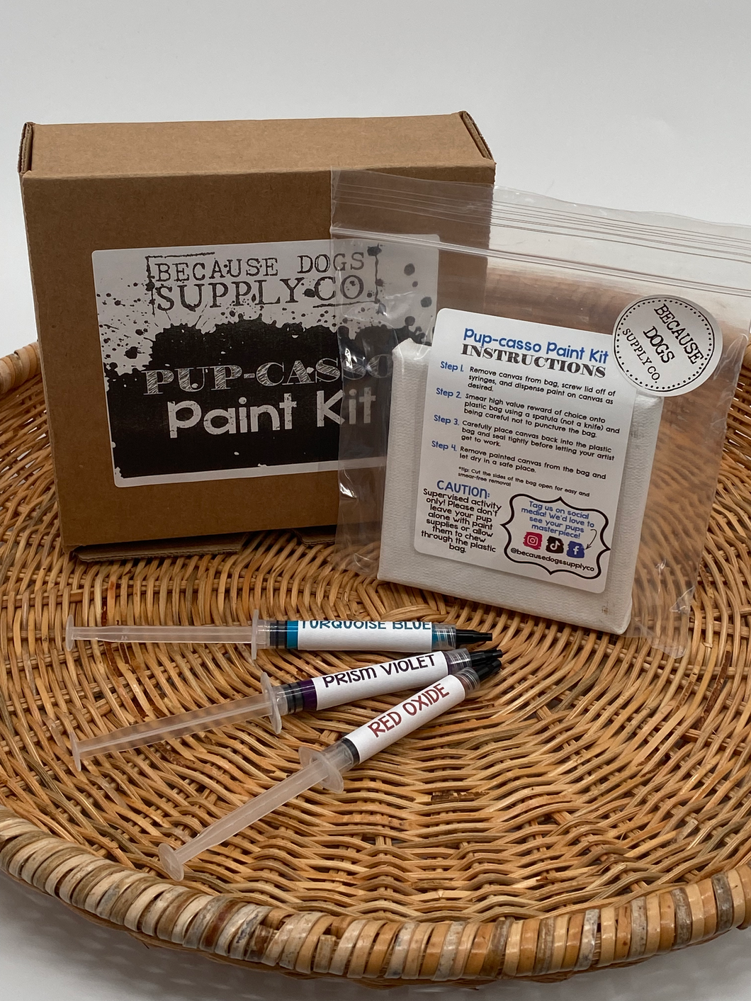 PupCasso Paint Kit - Small Canvas (4x4)