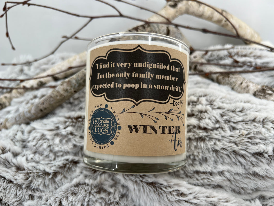 Winter Air 9oz Soy Candle - 